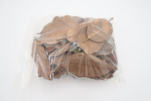 Product photo of magnolia leaf liter