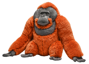 Artist Collection - Male Orangutan Stuffed Animal
