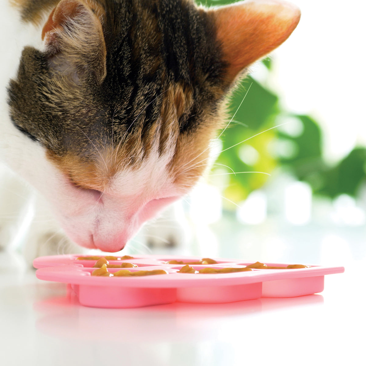 Catit Creamy Feeding Mat - Catit CA