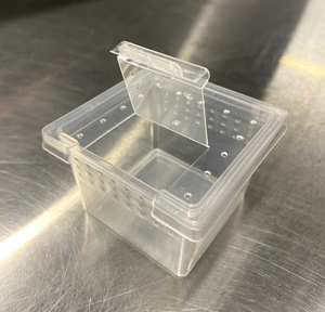 A small clear plastic container with a removable lid and ventilation holes, designed for housing spiderlings.