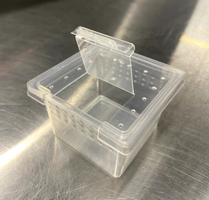 Mini square spiderling container