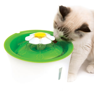 All Cat Supplies
