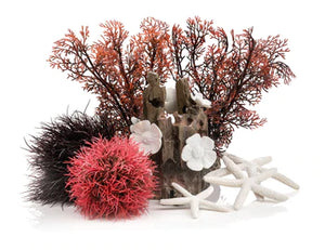 Aquatic Decorations