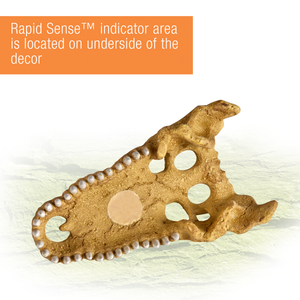 Rapid Sense Decor Crocodile Skull Medium