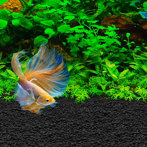 Fluval Betta Stratum 1.76 lb