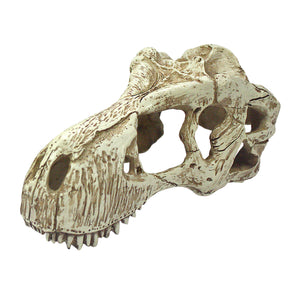 KOMODO T-Rex Skull Large