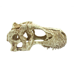 KOMODO T-Rex Skull Large