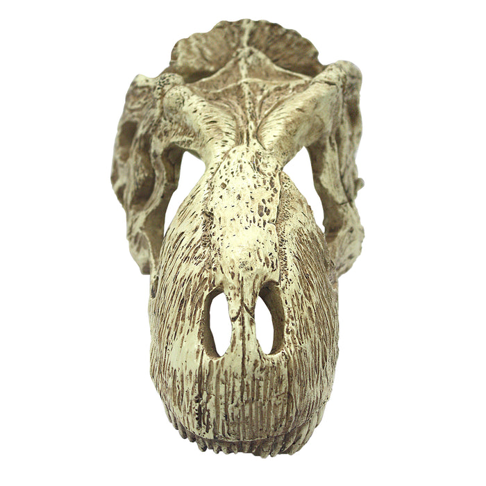 KOMODO T-Rex Skull Large