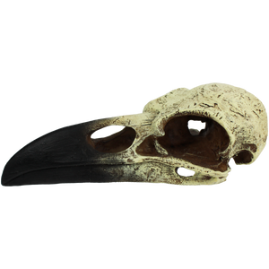 KOMODO Raven Skull Large