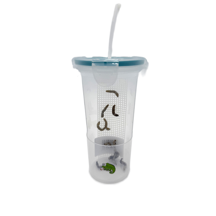 Blinky Bug Bar – Reptilian Arts