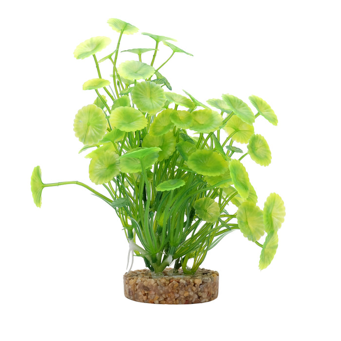 Fluval Yellow-Green Lysimachia Plant 8in