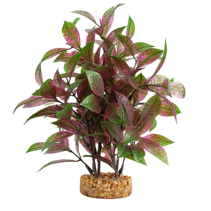 Fluval Broad Leaf Red Ludwigia Plant 8in