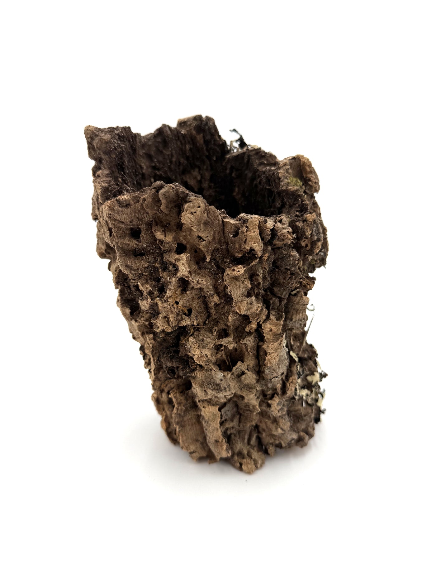ZooMed Natural Cork Flats (Cork Bark) Small ZooMed Natural Cork Flats (Cork Bark) Small