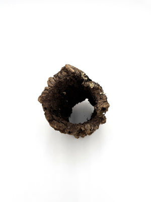 Cork Bark Rounds
