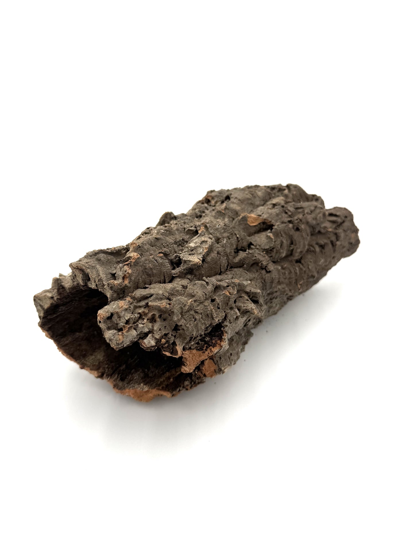 Tree Bark Rounds Cork Bark Rounds – Reptilian Arts