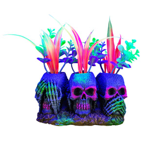 Marina iGlo 3 Skulls with Plants, Small