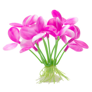 Marina Betta Pink Orchid 2.75in