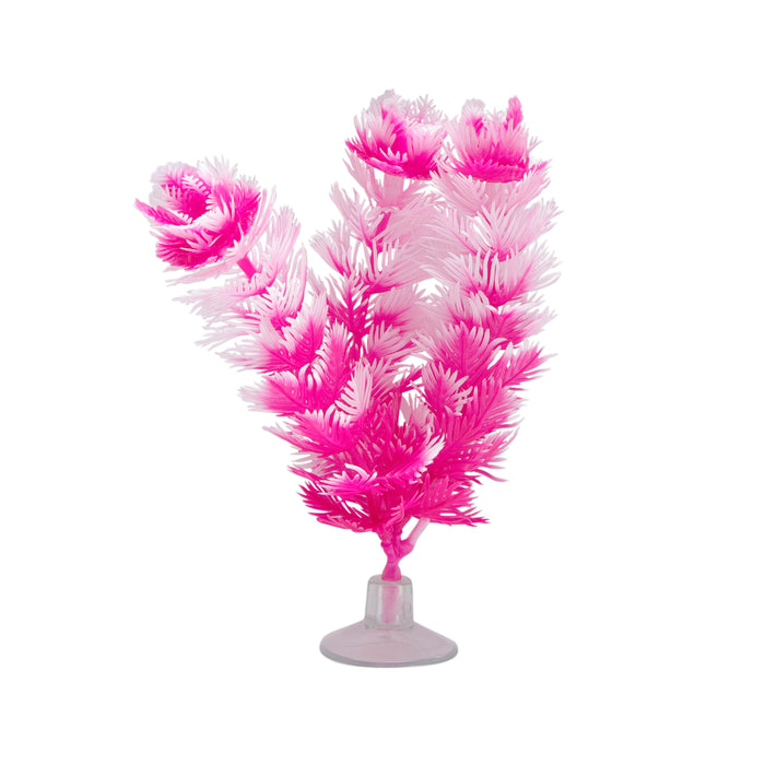 Vibrascaper Foxtail, Pink/White 5 inch