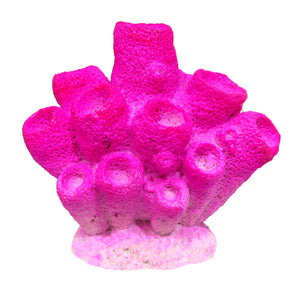 Marina Pink Sponge Coral