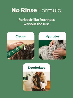 Earth Rated No-Rinse Dog Shampoo