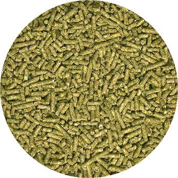 Zoomed Iguana Food Juvenile Formula 40oz