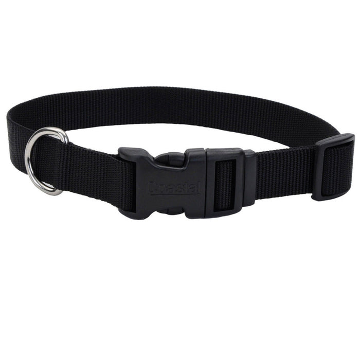 Coastal Adjustable Nylon Dog Collar with Plastic Buckle Black 3/8 In X 8-12 in