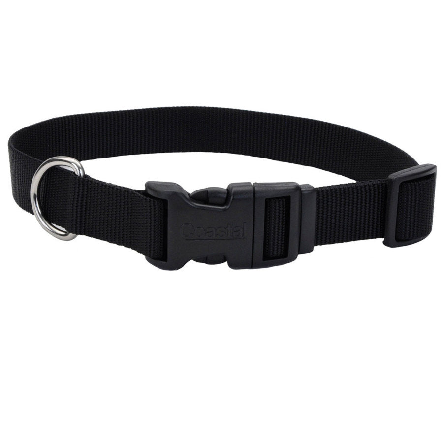 Coastal Adjustable Nylon Dog Collar with Plastic Buckle