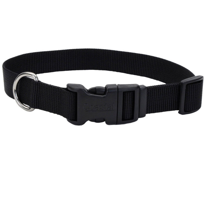 Coastal Adjustable Nylon Dog Collar with Plastic Buckle Black 3/4 In X 14-20 in