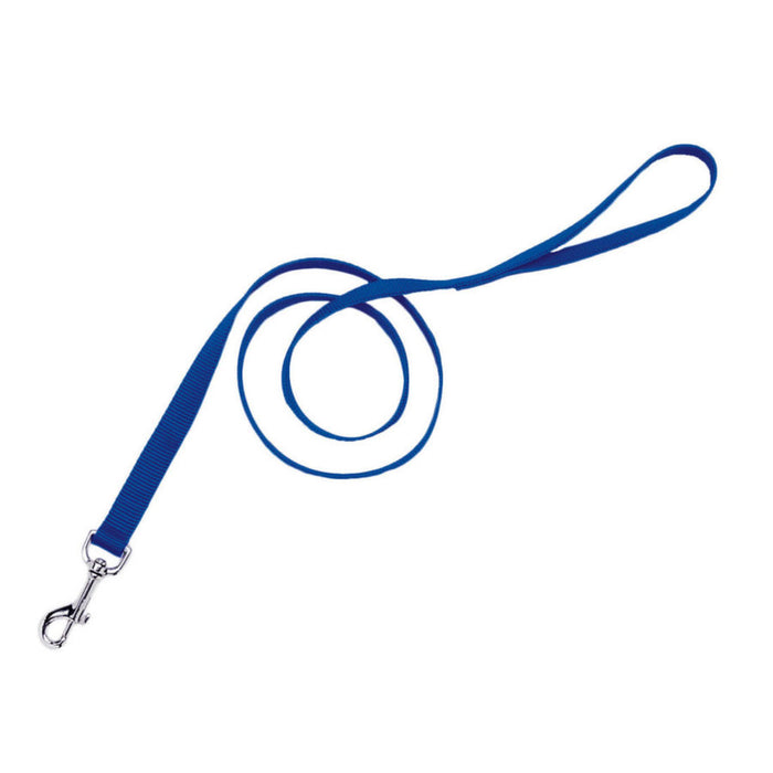 Coastal Single-Ply Nylon Dog Leash Blue 3/4 In X 6 ft