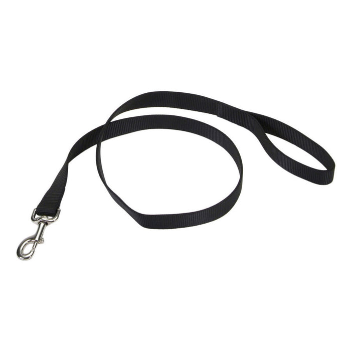 Coastal Single-Ply Nylon Dog Leash Black 3/4 In X 6 ft