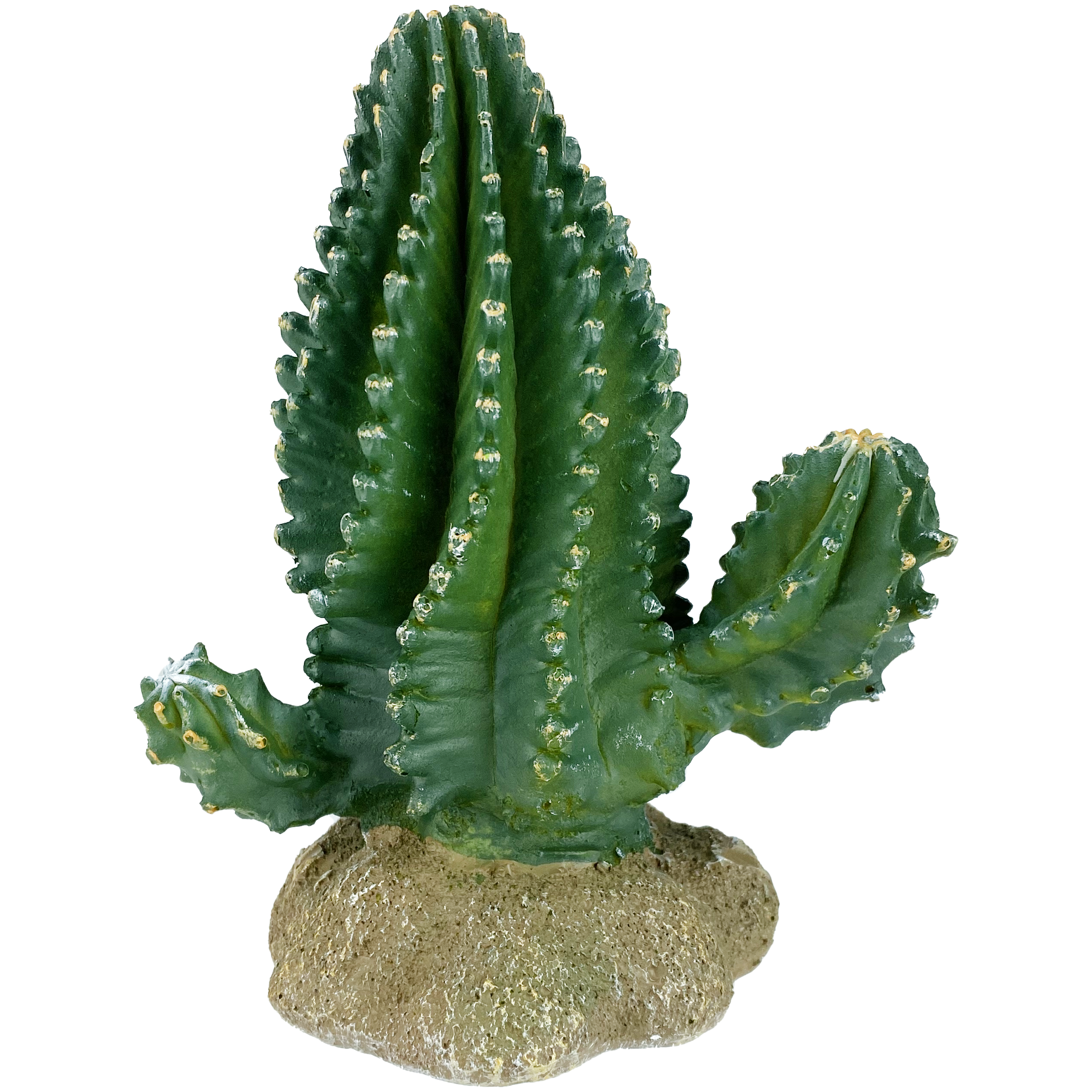 Columnar Cactus – Reptilian Arts