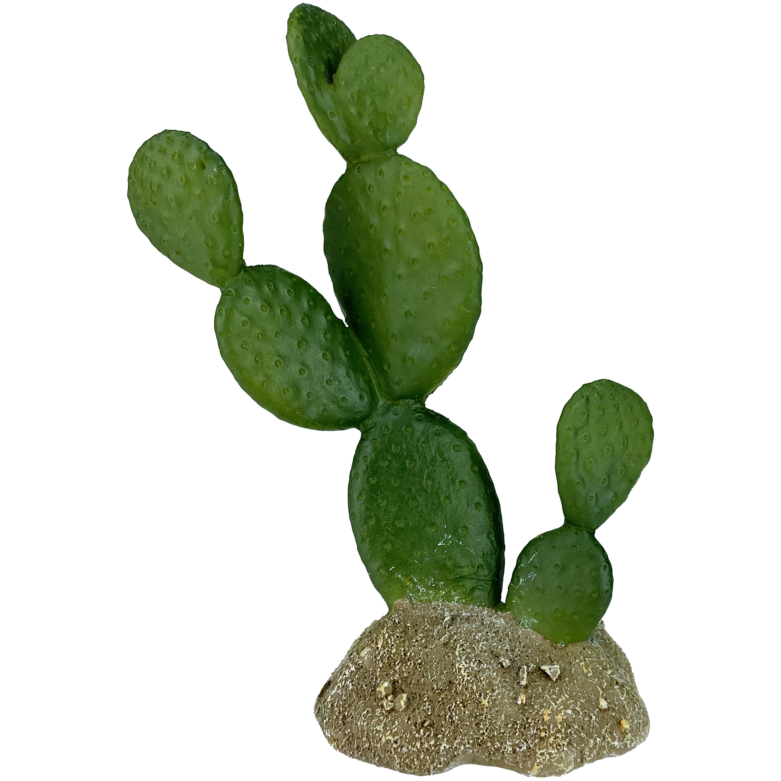 order prickly pear cactus Prickly Pear Cactus – Reptilian Arts