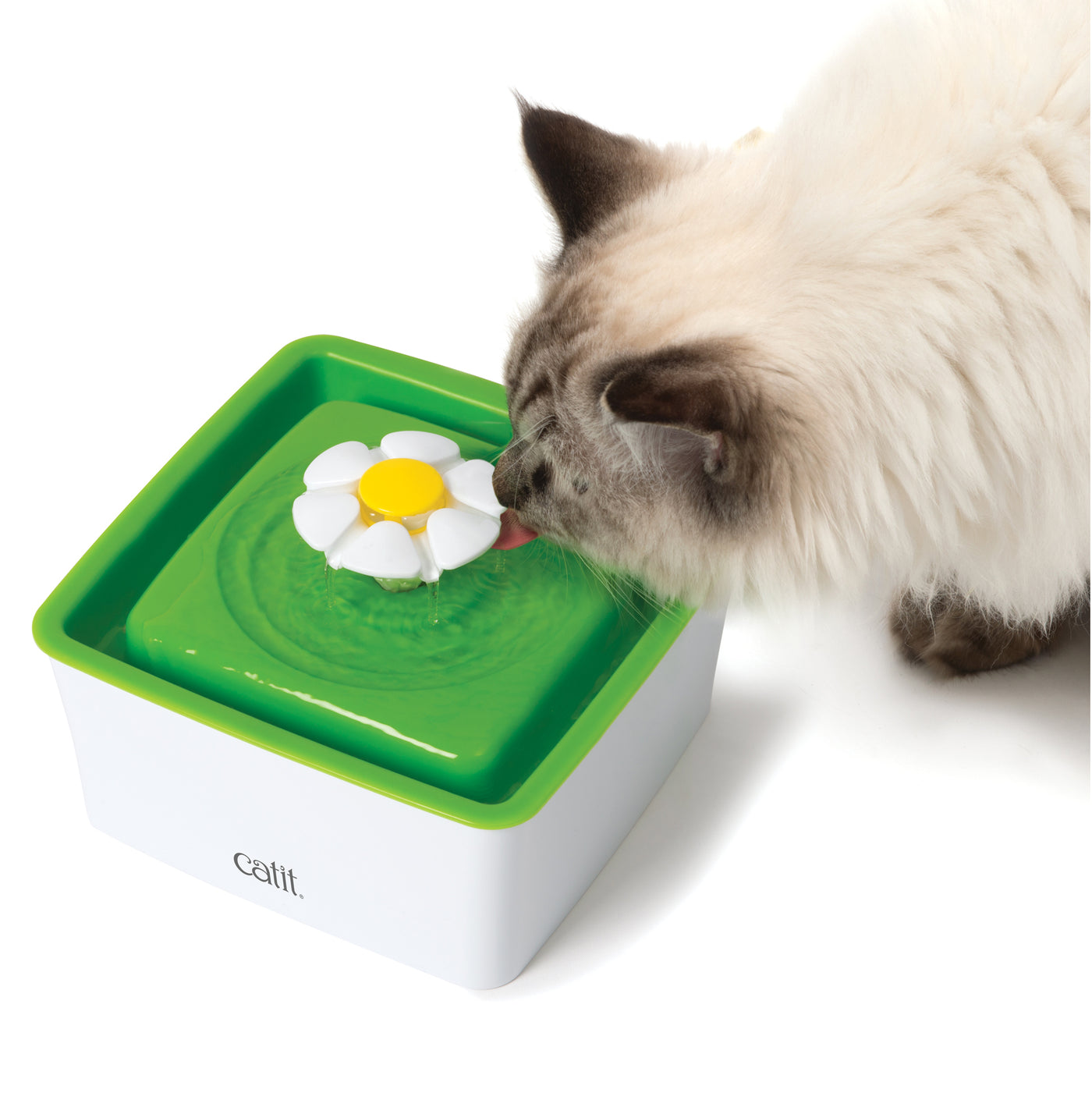 succulent water fountain cat Catit Flower Fountain Mini for Cat – Reptilian Arts