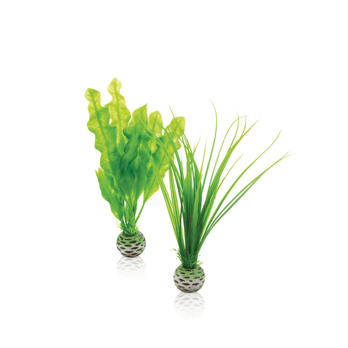 biOrb Easy plant set S green