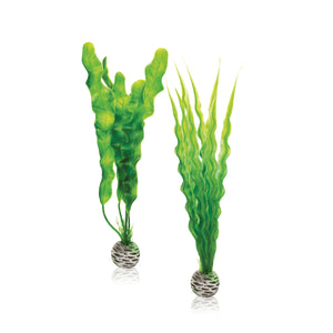BiOrb Easy plant set M green