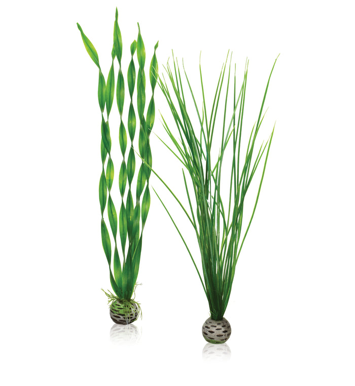 BiOrb Easy plant set L green