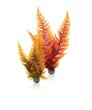 BiOrb Aquatic autumn fern set 2
