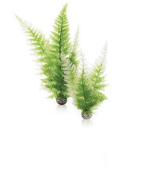 BiOrb Aquatic winter fern set 2