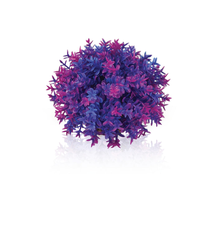 BiOrb Flower ball purple