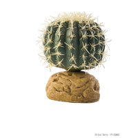 Exo Terra Barrel Cactus Terrarium Plant