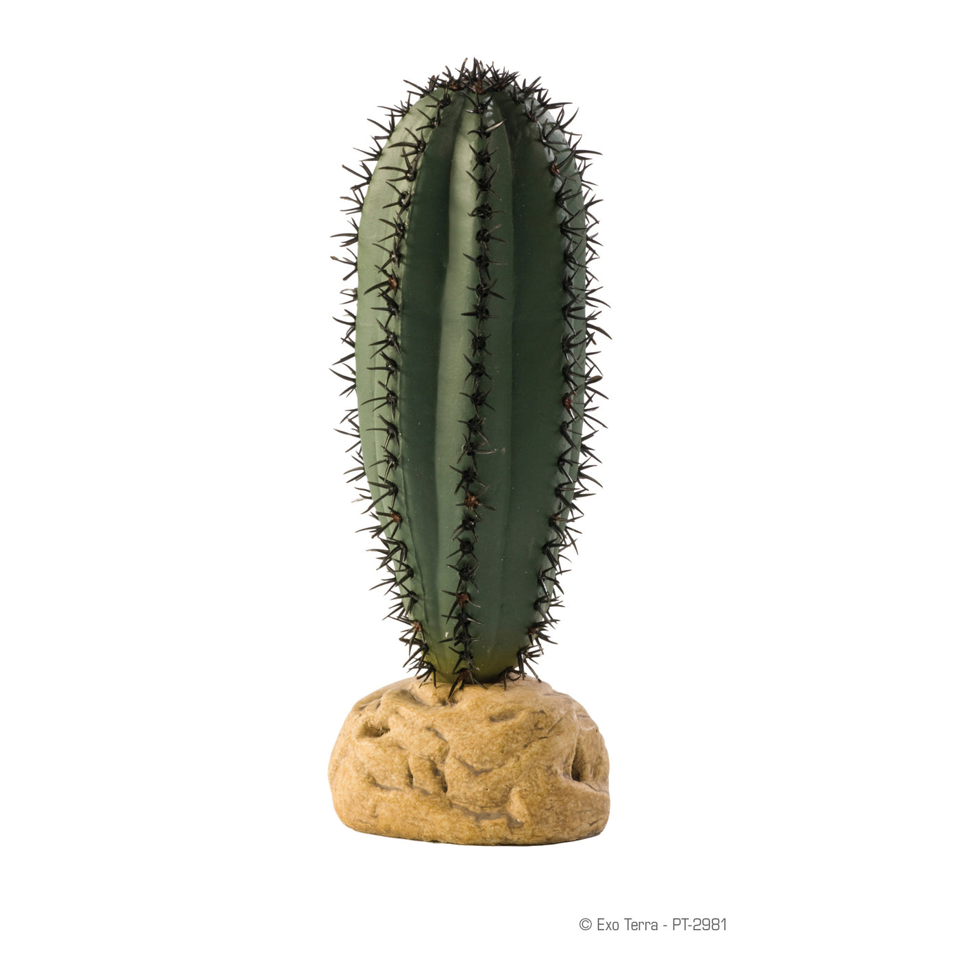 exo terra terrarium plants Exo Terra Saguaro Cactus Terrarium Plant – Reptilian Arts