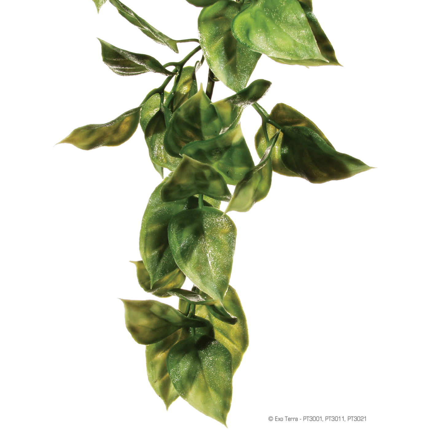 exo terra philodendron Exo Terra Plastic Terrarium Plant