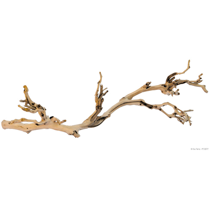 Exo Terra Forest Branch -  Large