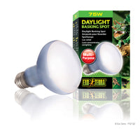 Exo Terra Daylight Basking Spot Lamp 75W
